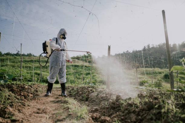 Best Mosquito Control Services  in Mentone, IN