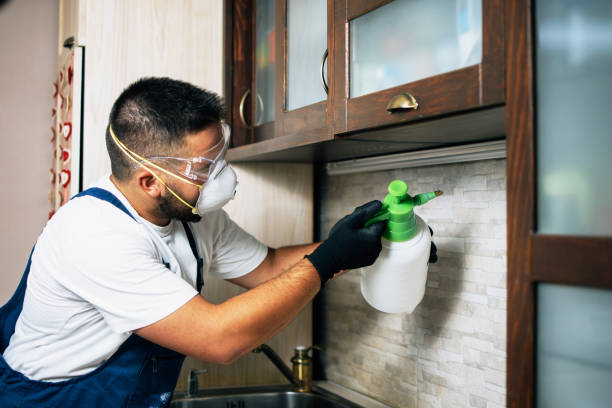 Best Flea Control Services  in Mentone, IN