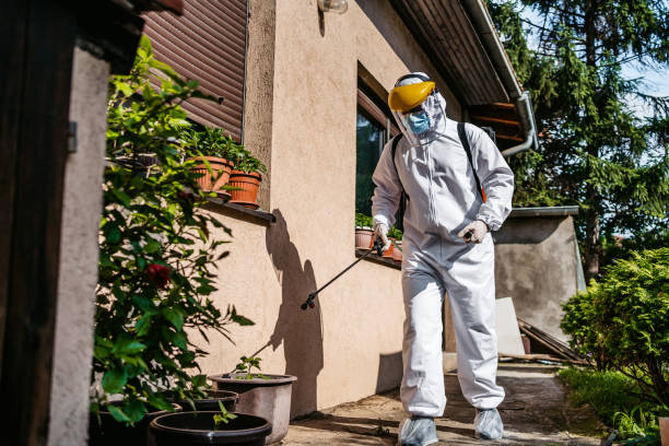 Best Flea Control Services  in Mentone, IN