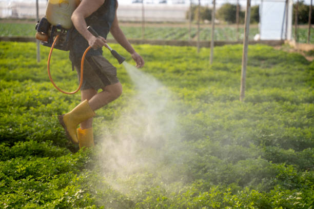 Best Pest Control for Restaurants  in Mentone, IN