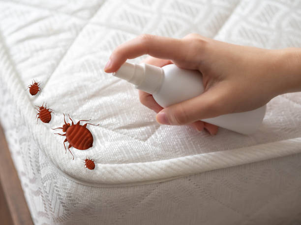 Trusted Mentone, IN Pest Control Experts