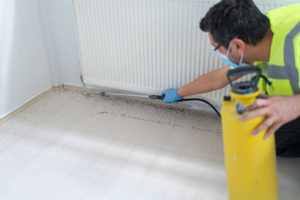 Best Wasp Removal Services  in Mentone, IN